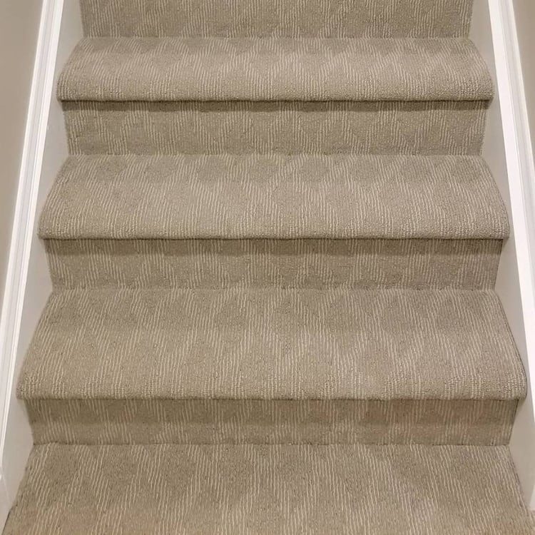 20+ Carpeted Stairs Examples to Inspire You